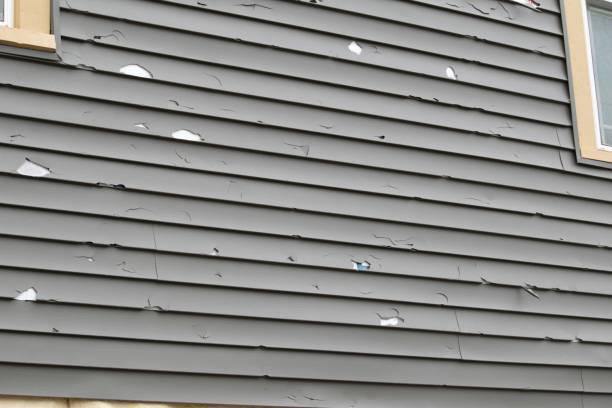 Best Siding for Multi-Family Homes  in Healdsburg, CA